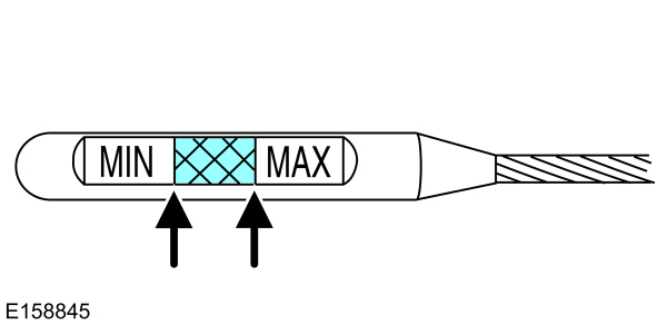 Checking the Fluid Level