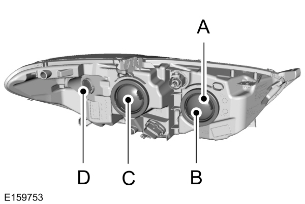 Image Shown Without Description