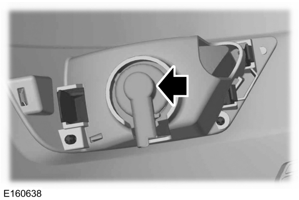 Image Shown Without Description