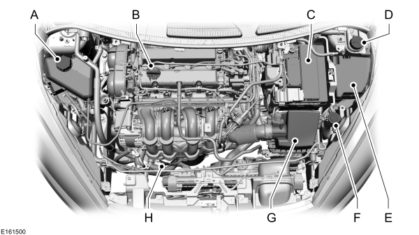 Image Shown Without Description