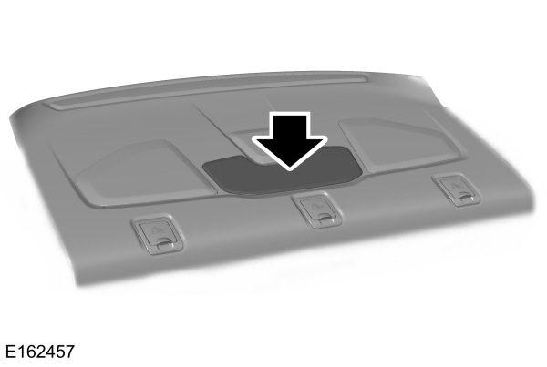 Image Shown Without Description