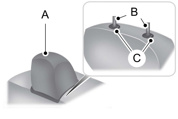 Head Restraints