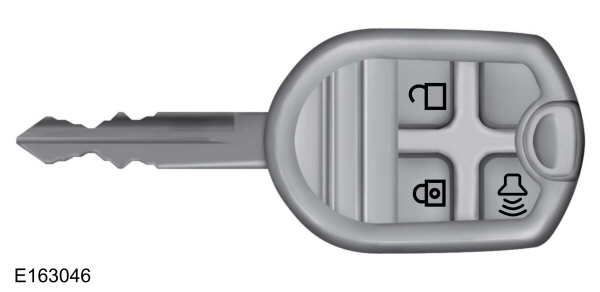 Ignition Key/Remote Control