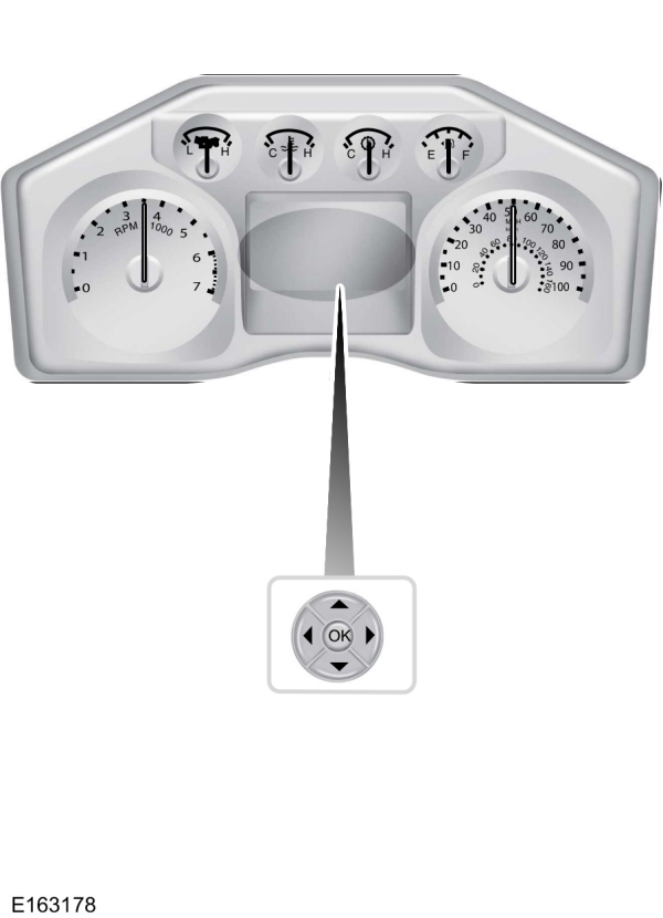 Information Display Controls