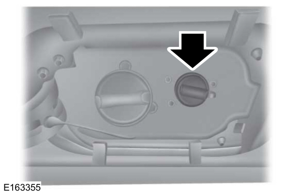 Image Shown Without Description