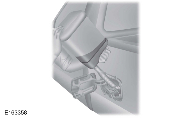 Image Shown Without Description