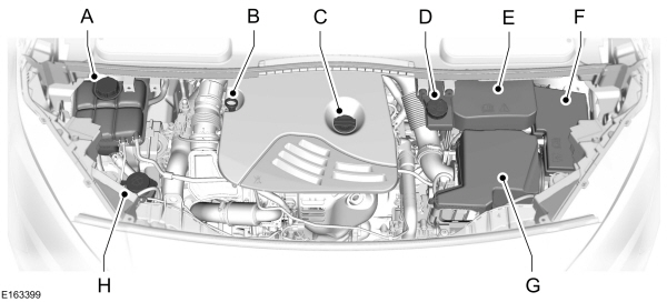 Image Shown Without Description