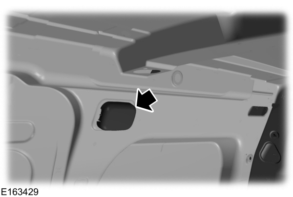 Image Shown Without Description