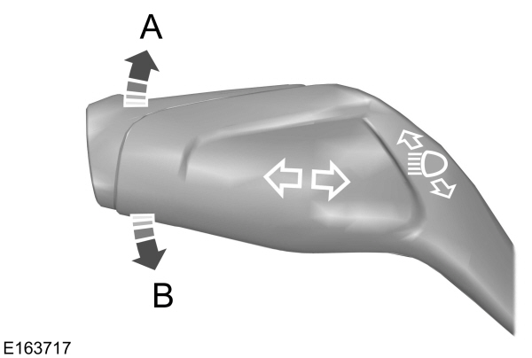 Image Shown Without Description