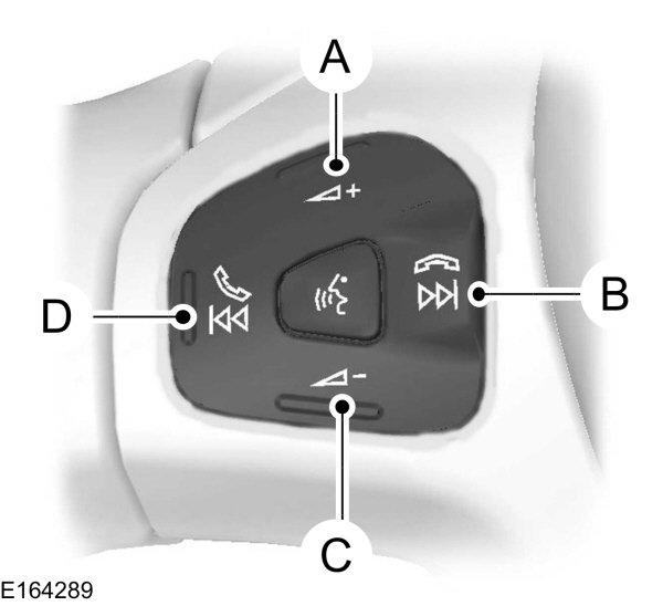 Image Shown Without Description