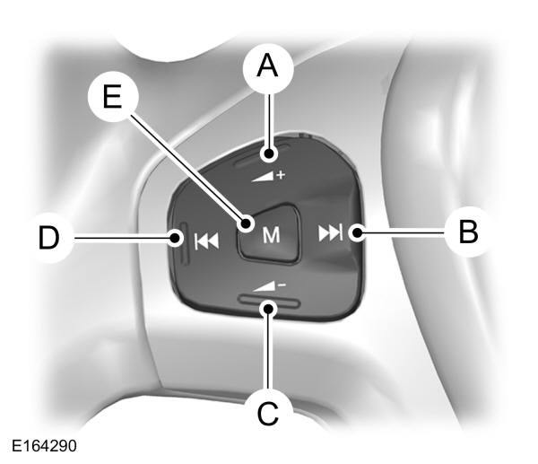 Image Shown Without Description