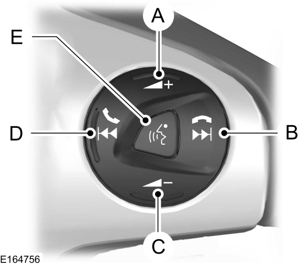 Image Shown Without Description