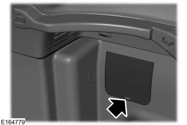 Image Shown Without Description