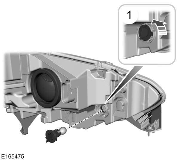 Image Shown Without Description