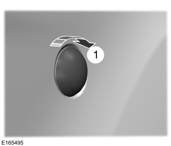Image Shown Without Description