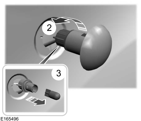 Image Shown Without Description