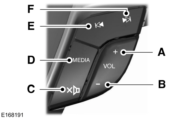 Image Shown Without Description