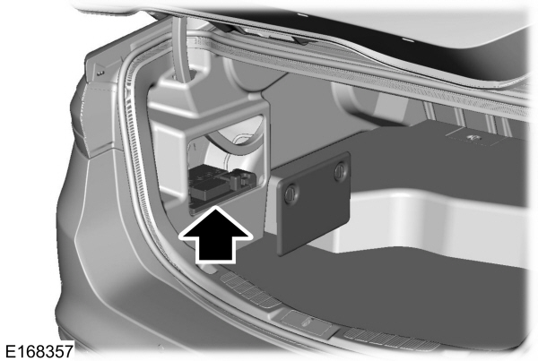 Image Shown Without Description