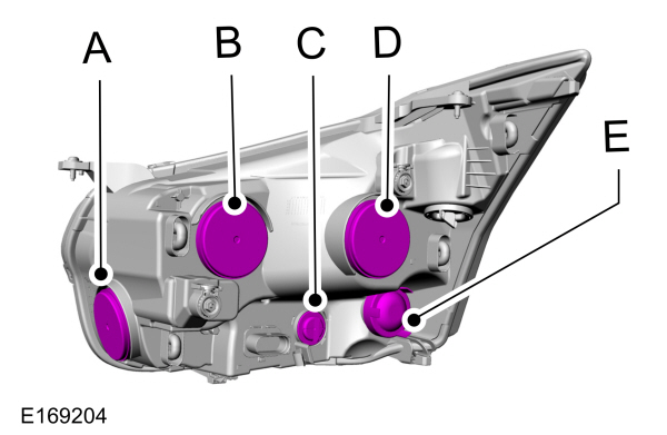 Image Shown Without Description