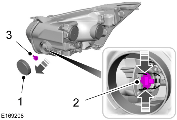 Image Shown Without Description