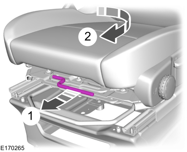 Image Shown Without Description