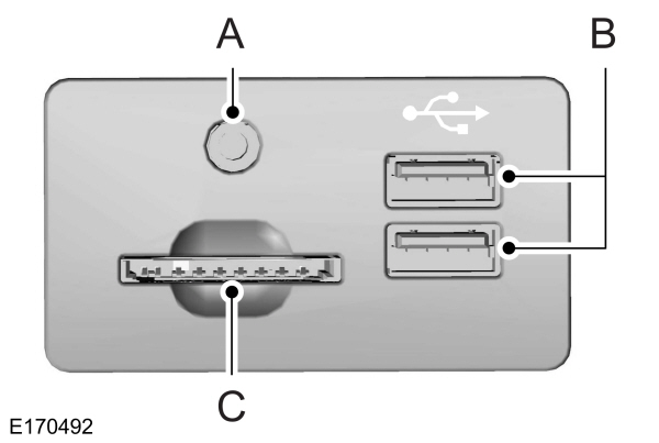 Image Shown Without Description