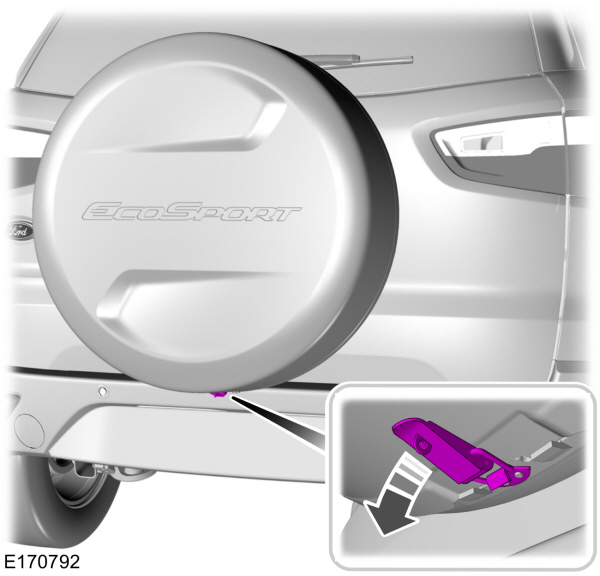 Image Shown Without Description
