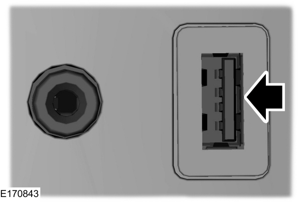 Image Shown Without Description