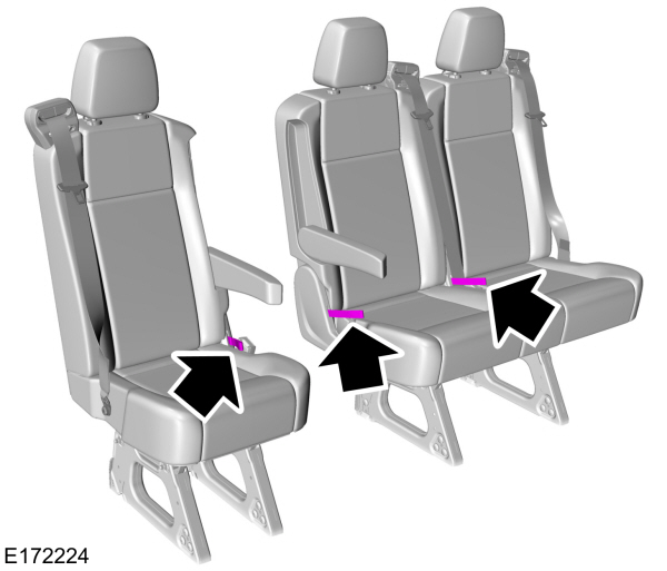 Image Shown Without Description
