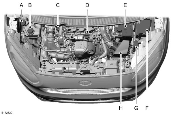 Image Shown Without Description
