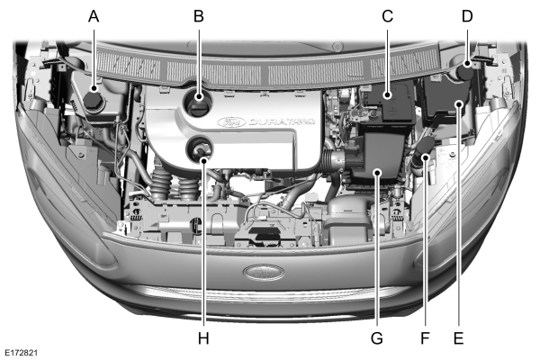 Image Shown Without Description