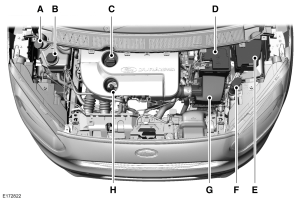 Image Shown Without Description