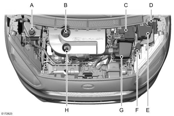 Image Shown Without Description