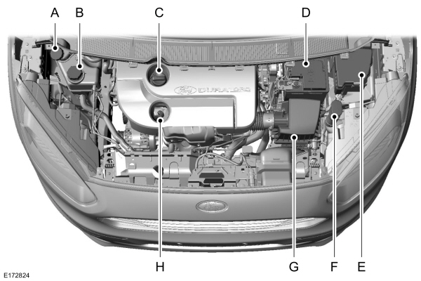 Image Shown Without Description