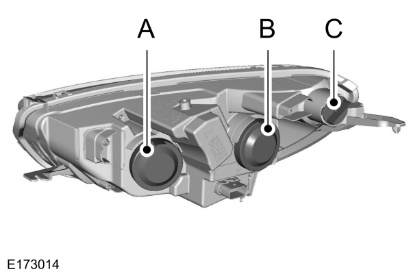 Image Shown Without Description