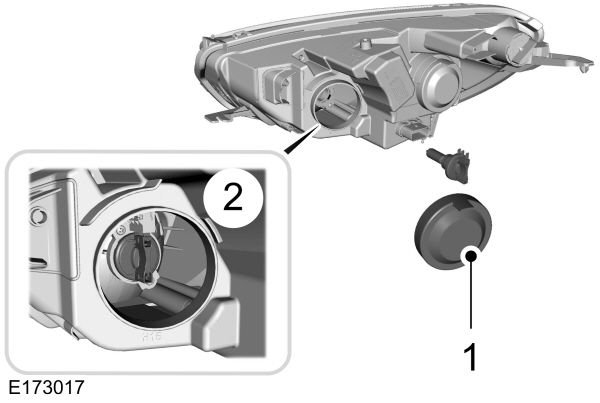 Image Shown Without Description