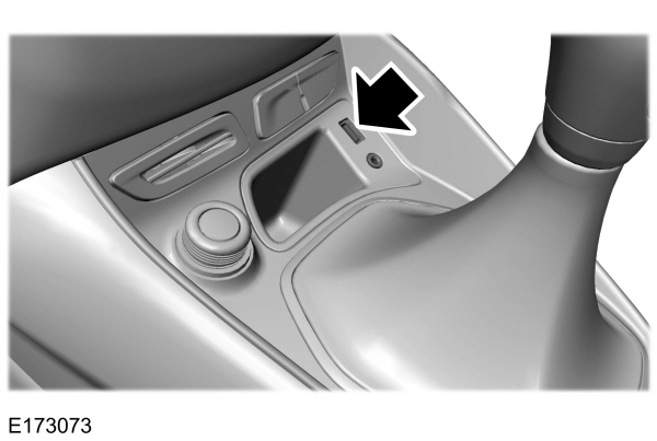 Image Shown Without Description