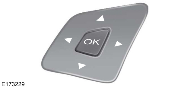 Steering Wheel Information Display Controls