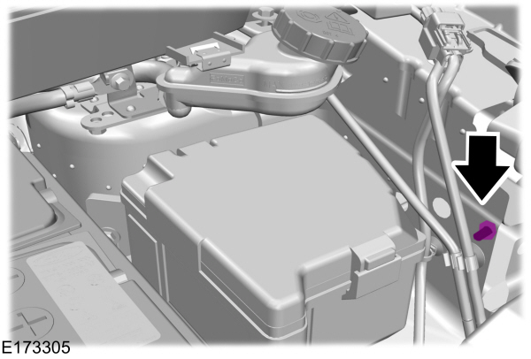 Image Shown Without Description
