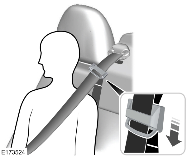 Image Shown Without Description