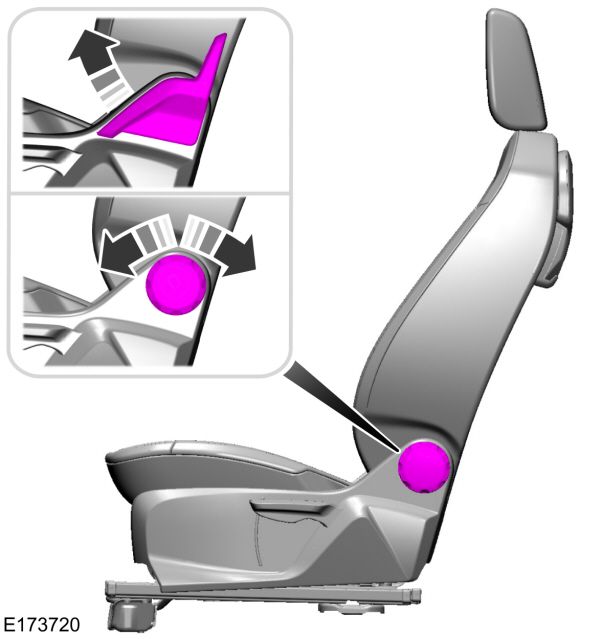 Image Shown Without Description