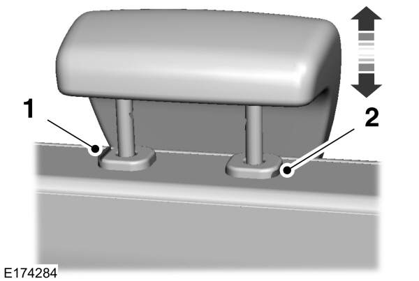 Image Shown Without Description