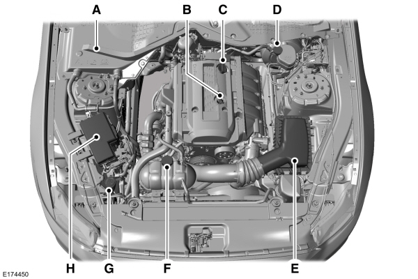 Image Shown Without Description