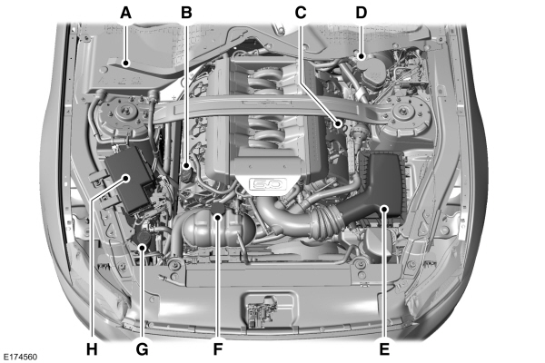 Image Shown Without Description