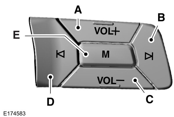 Image Shown Without Description