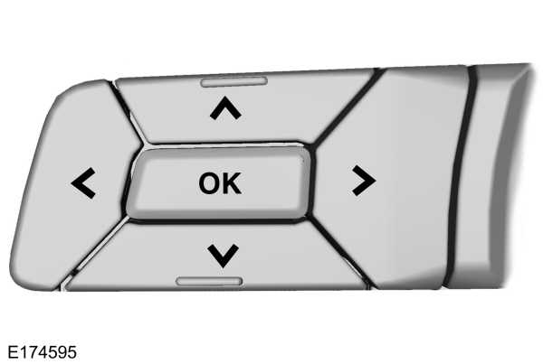 Image Shown Without Description