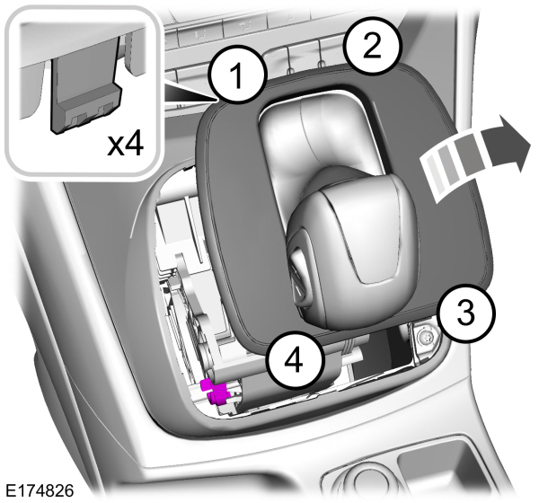 Image Shown Without Description