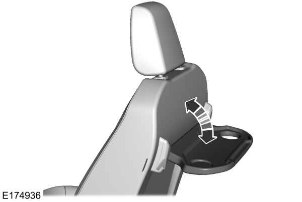 Image Shown Without Description
