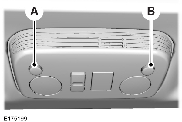 Image Shown Without Description