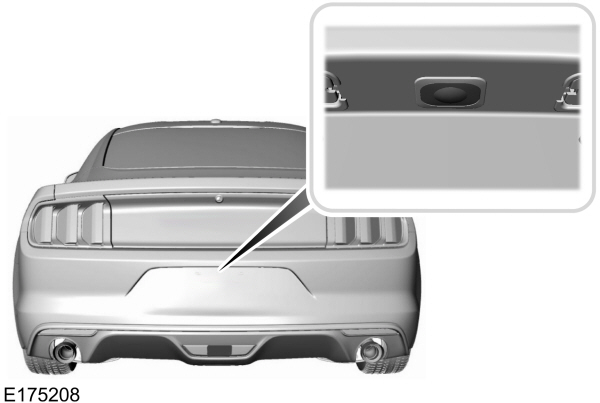 Image Shown Without Description